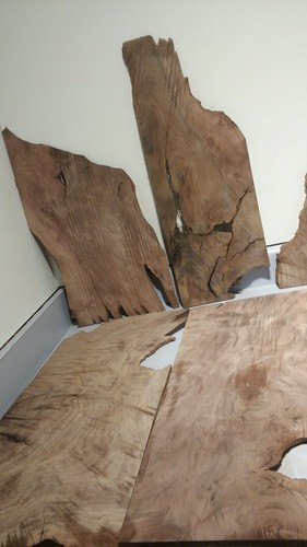 Pacific Black Walnut claro veneer extreme grain and figuring 9 pcs.