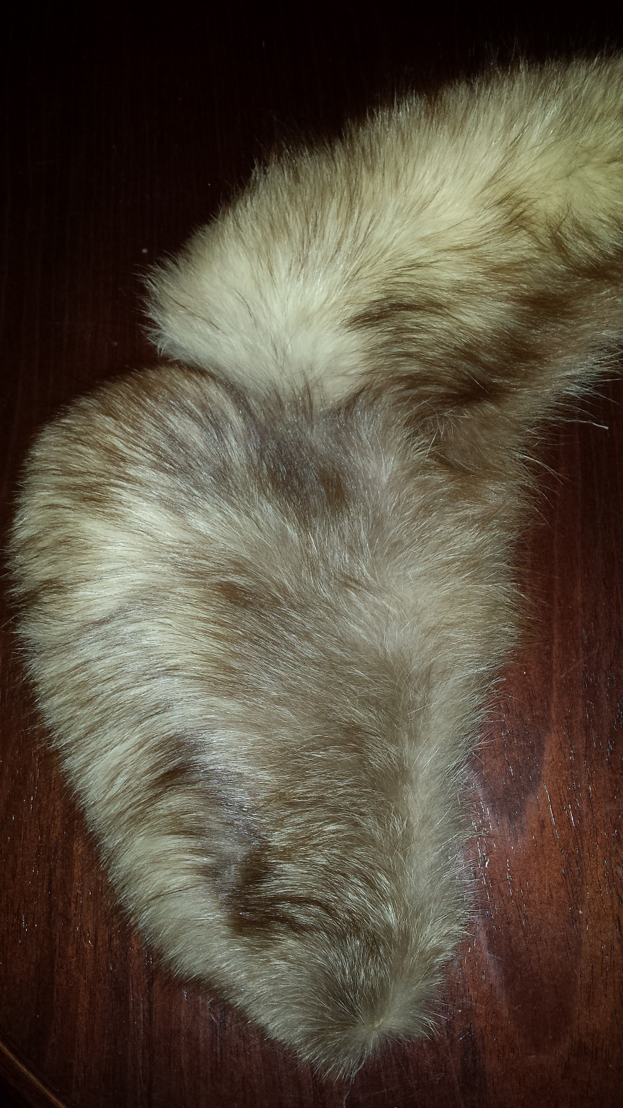 Vintage Genuine Fur Collar