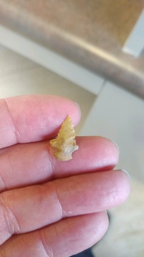 7 Projectiles True Arrowheads Cass County East Texas #3