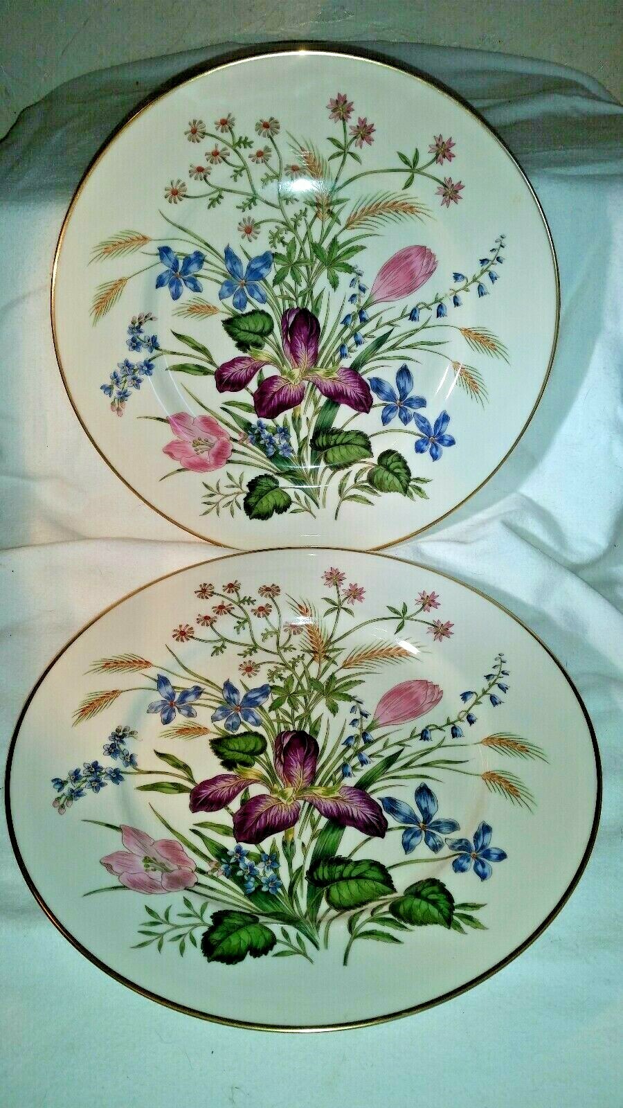 10  FRANCISCAN MARIPOSA DINNER PLATES 10 1/2
