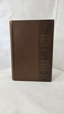 The prophet of the Great Smoky Mountains, a novel