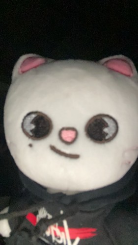 新品未開封SKZOO PLUSH ORIGINAL＆MINI ジニレット セット Stray Kids SKZOO Official Plush Hyunjin Jiniret Original