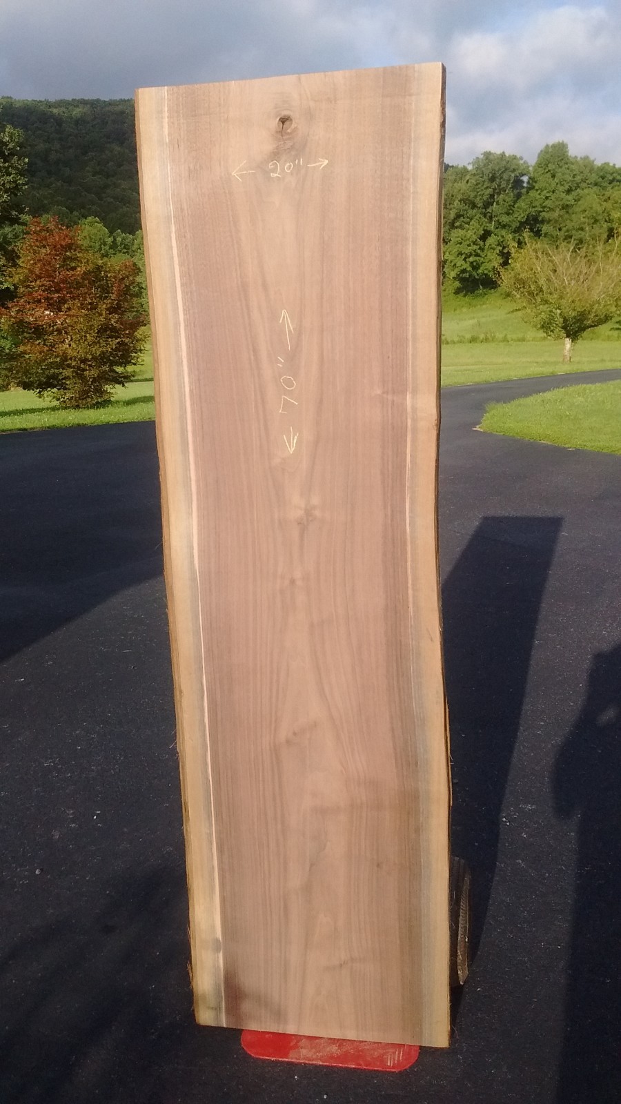 LIVE EDGE BLACK WALNUT SLAB/TABLE TOP  #110