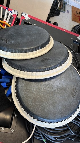 Conga Drumhead Remo, Tucked, SKYNDEEP BLACK CALFSKIN GRAPHIC