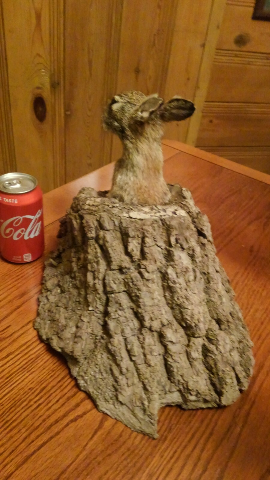 Rabbit Hunting Taxidermy Mount Den Camp Cabin Decoy Hunt Trap Hound rabbits hole