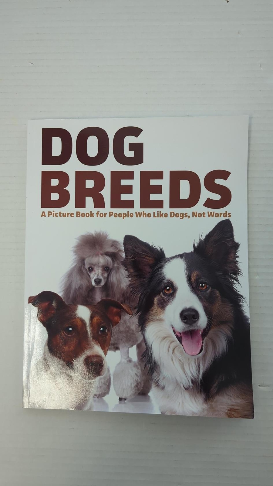 Dog Breeds Book: Your Guide to Choosing the Perfect Pup