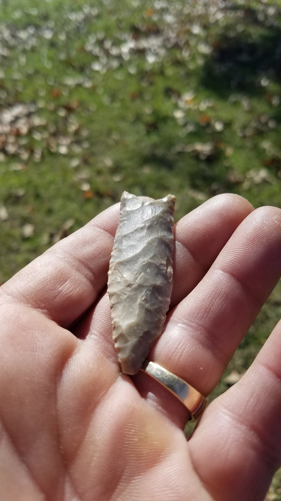 ARROWHEAD- Huge 2 5/16