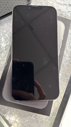 Foto dell'oggetto di un acquirente verificato