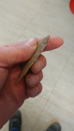 2 3/4 Early Perd Gower/Jetta Arrowhead Collins Site