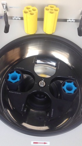 Beckman Coulter 25R Refrigerated Centrifuge with TS-5.1-500 rotor