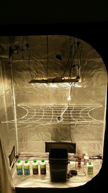 Complete Grow Setup Spider Farmer 200 Watt ~ Bitcoin ...