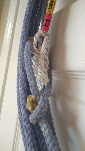 *Brand New* Cactus Ropes: XPlosion!!!