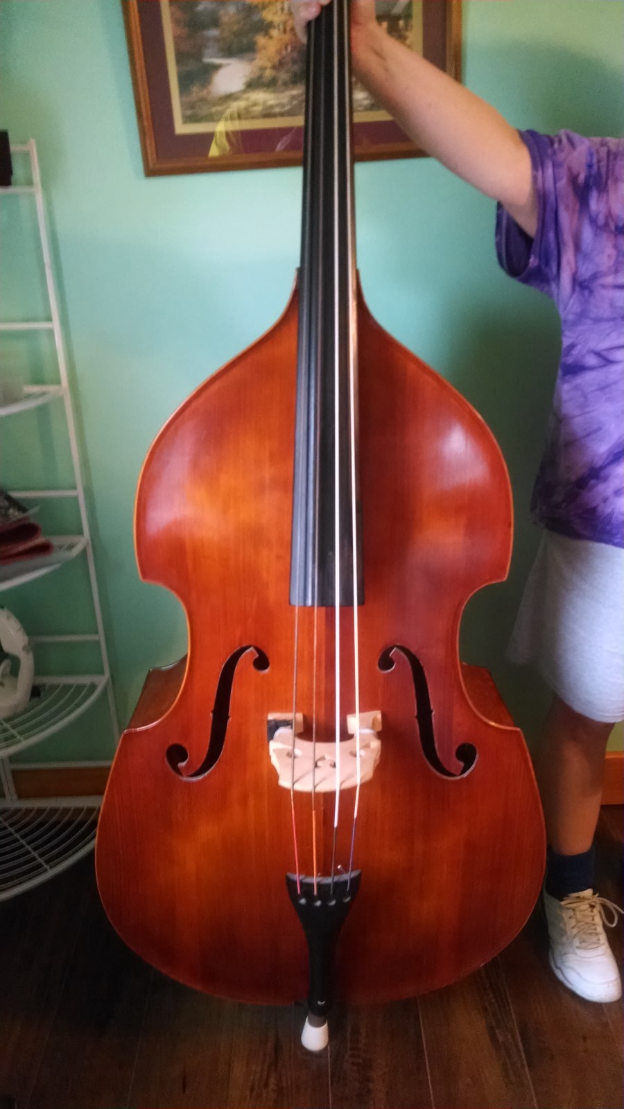 Rare one of a kind 3/4 upright bass Solid Top