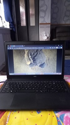 Fotos del artículo de un comprador verificado
