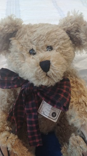 The Boyds Collection Presidential Line Roosevelt P. Bearington