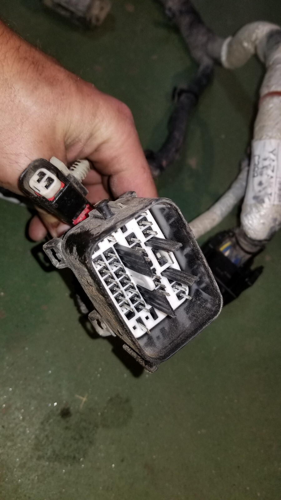 48852040F 3.0L ECO DIESEL Injector Wiring Harness Mopar - Picture 7 of 12