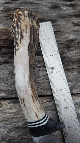 Farrier rasp Knife Whitetail antler