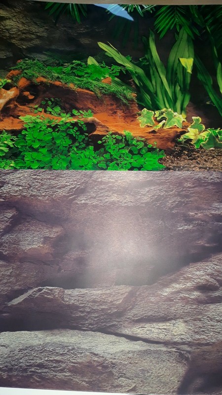 Aquariumfolie Beidseitig RÃ¼Ckwandfolie AquariumrÃ¼Ckwand  20 Motive Versch. GrÃ¶ÃE