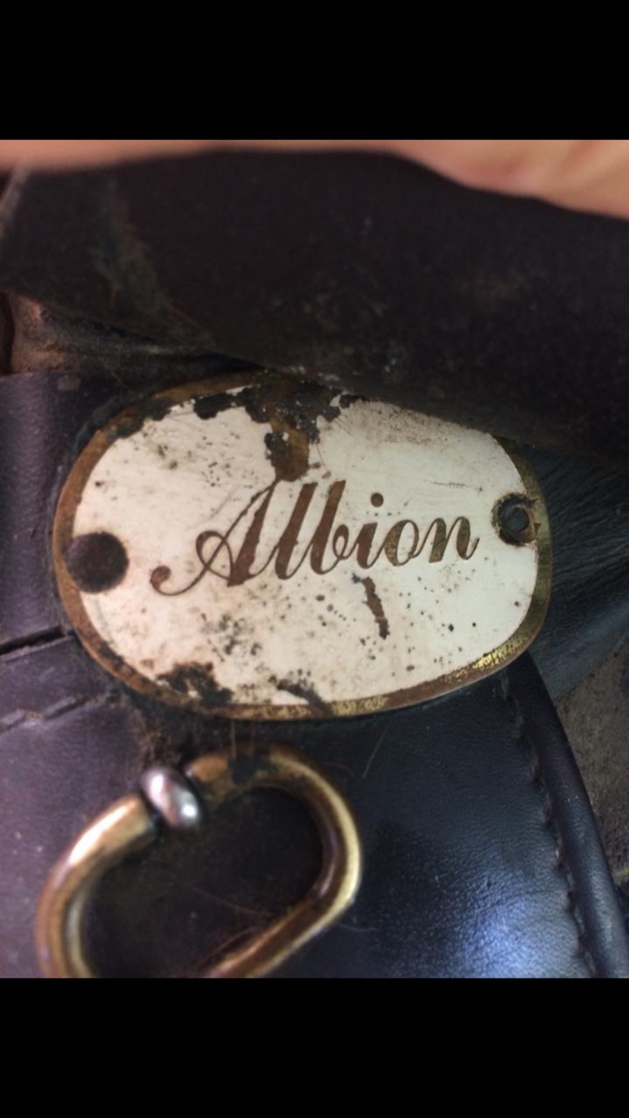 Albion Dressage Saddle 17in