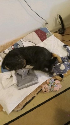 Artikelfoto(s) von einem verifizierten Käufer