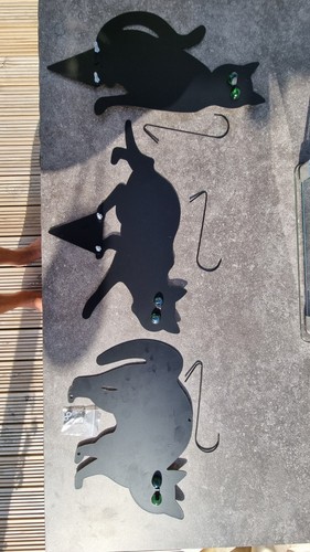 Fotos del artículo de un comprador verificado