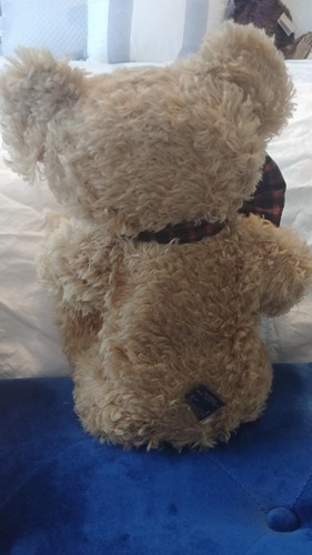 The Boyds Collection Presidential Line Roosevelt P. Bearington