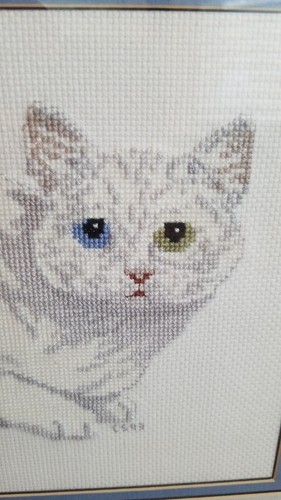Finished.Completed Gray White Kitten CAT Cross Stitch Professionally Framed