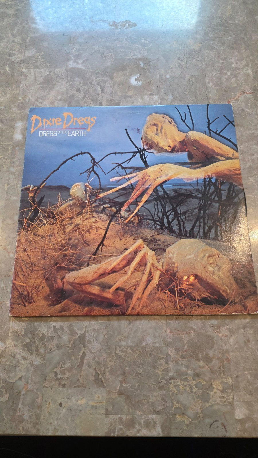 Dixie Dregs	Dregs of the Earth 1980 Arista AL 9528	Vinyl LP	FREE SHIPPING