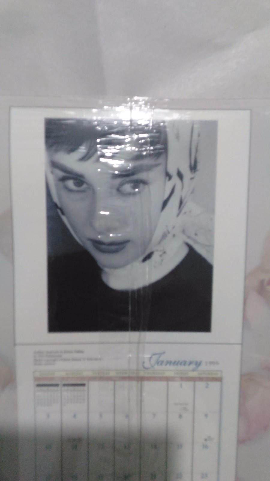 Audrey Hepburn 1999 calendar sealed