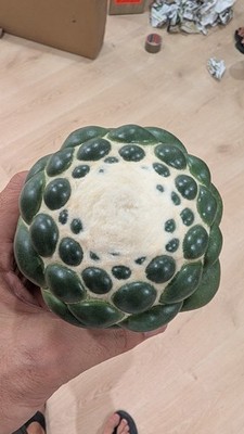 Fotos del artículo de un comprador verificado