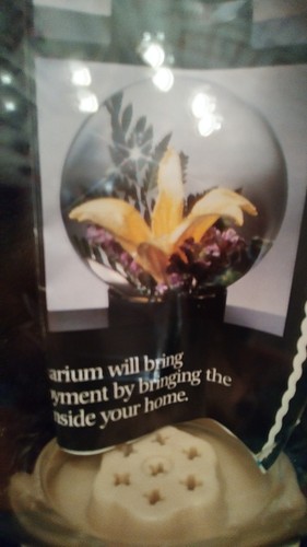 Beautiful Large Round Flower Decoration Aquarium