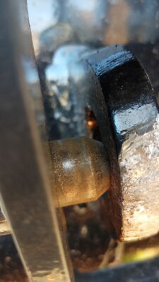 Artikelfoto(s) von einem verifizierten Käufer