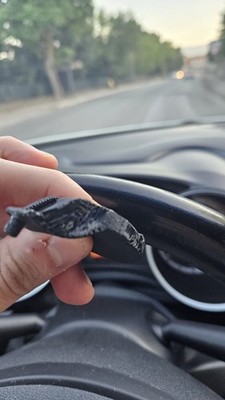 經驗證買家提供的物品圖片