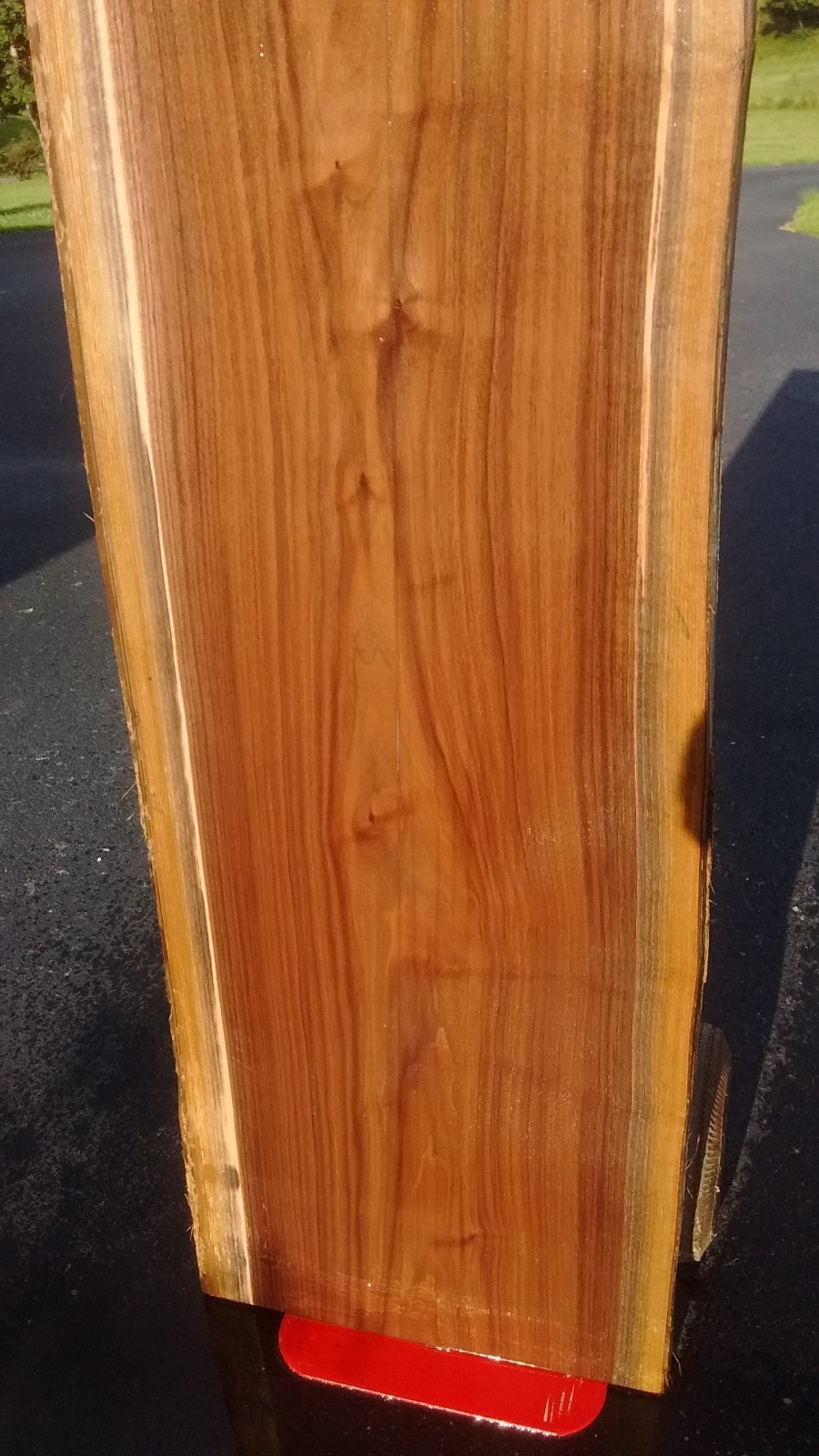 LIVE EDGE BLACK WALNUT SLAB/TABLE TOP  #110