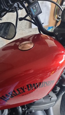 Foto dell'oggetto di un acquirente verificato