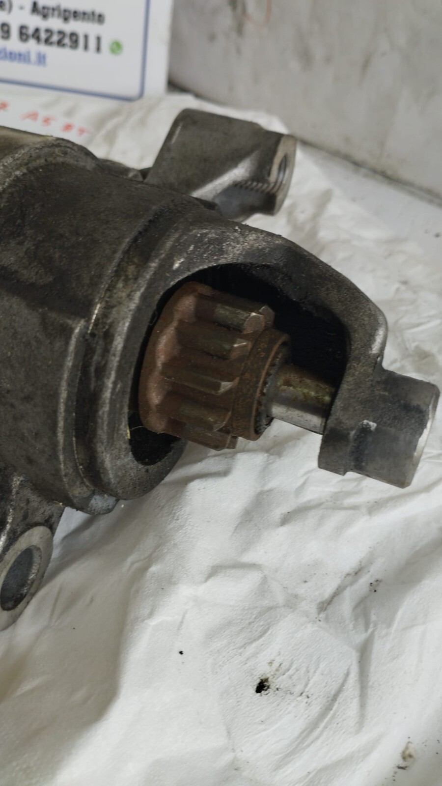 Miniatura 8