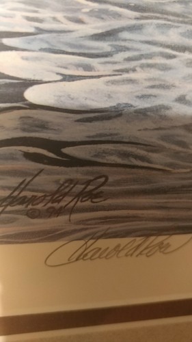 Harold Roe 1994 Signed Duck Print 30x27
