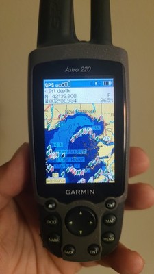 Foto dell'oggetto di un acquirente verificato