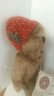 Vintage Boyds Bear TJs Best Dressed Collection Cecilia