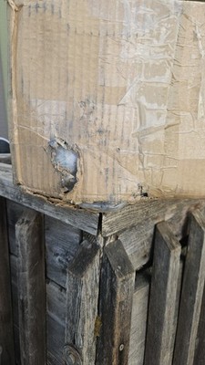 Item photo(s) from verified buyer