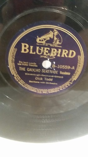 ブルーバード 78 Dick Todd BLUEBIRD 10559 