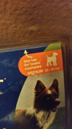 New petsafe Gentle Leader Collar quick release-Black