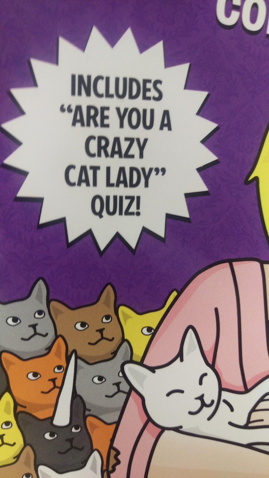 NEW! Crazy Cat Lady Coloring book - Puzzles, Coloring and more!  Has a story too