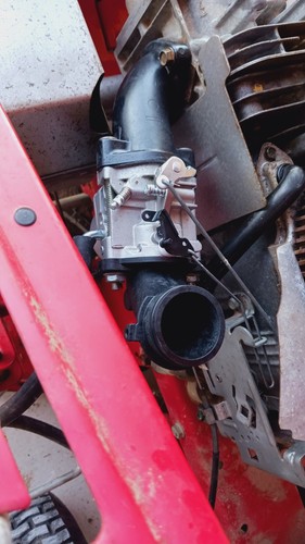 Artikelfoto(s) von einem verifizierten Käufer