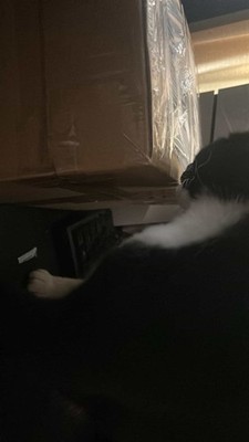 Fotos del artículo de un comprador verificado