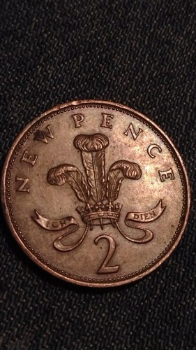 COIN PARKING DELIVERY 『Family vol.2』 $_12.JPG?set_id=880000500F