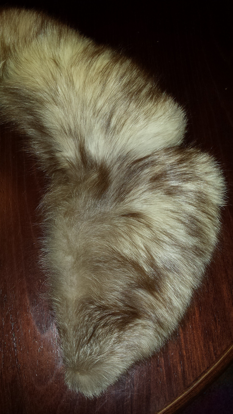 Vintage Genuine Fur Collar