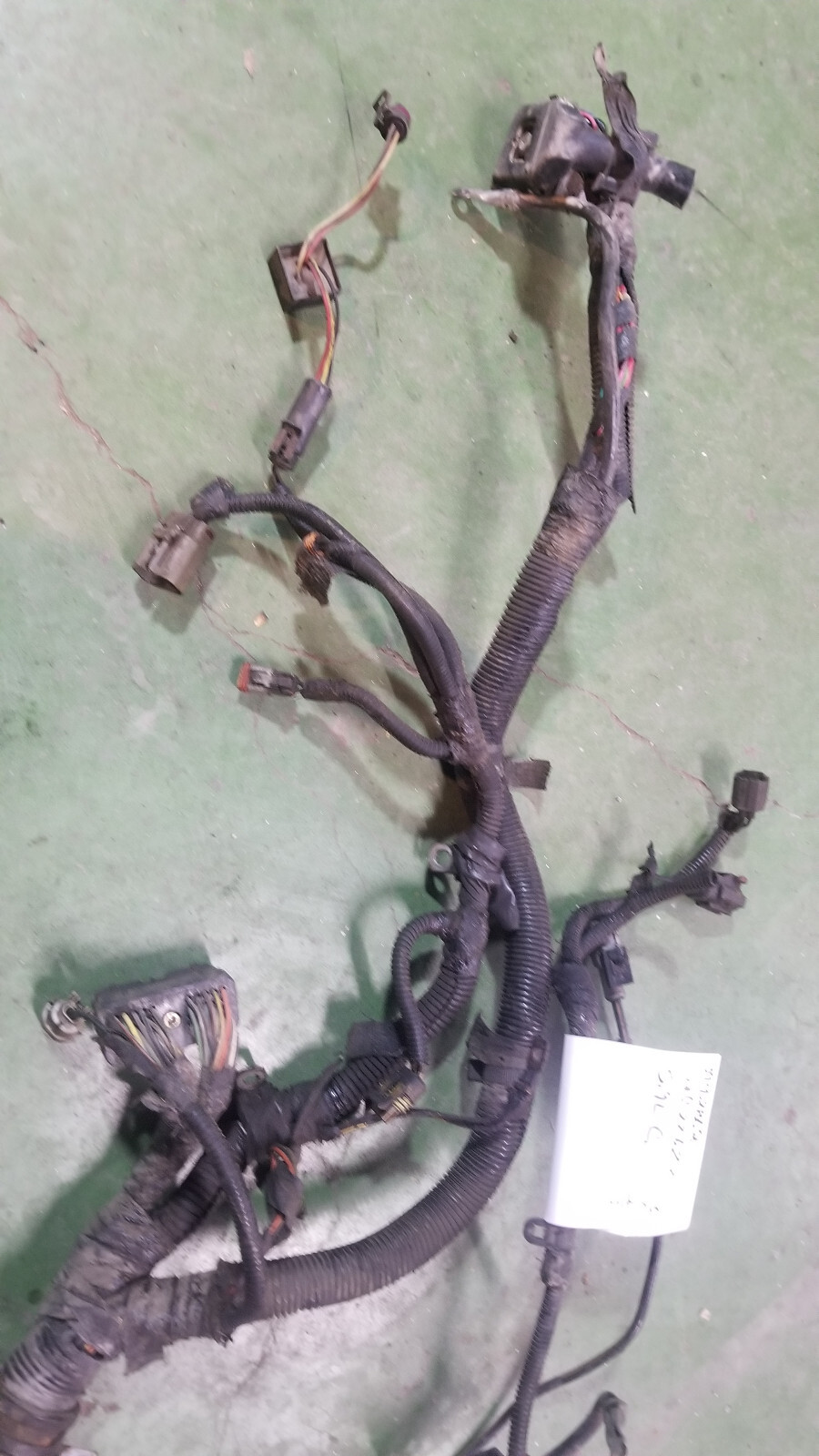 3942862 Harness 1998 24 Valve Dodge Ram Cummins Diesel 5.9L - Picture 5 of 12