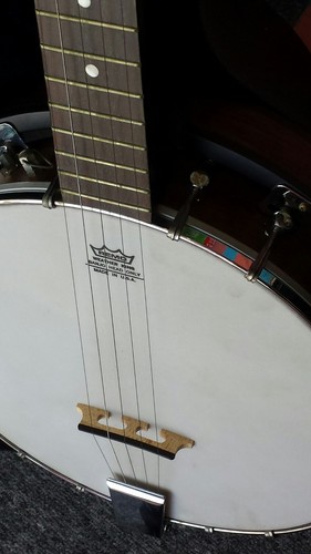 Johnson 5 string Banjo & Hard Carrying Case Made in USA REMO weather king Head