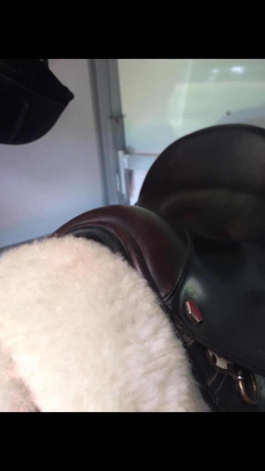 Albion Dressage Saddle 17in